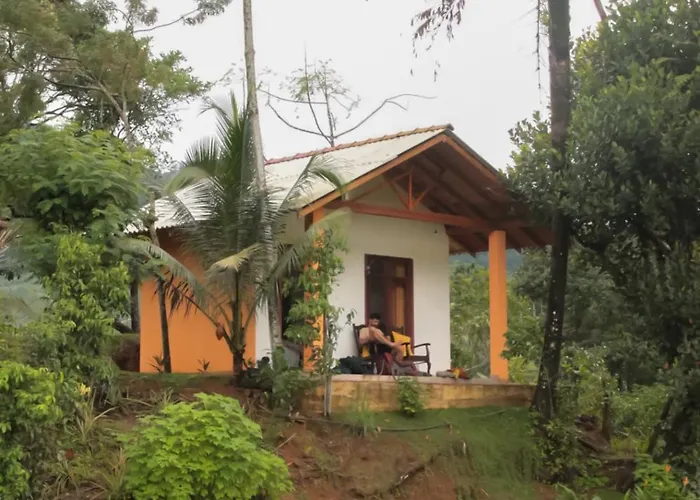 Serene Sinharaja