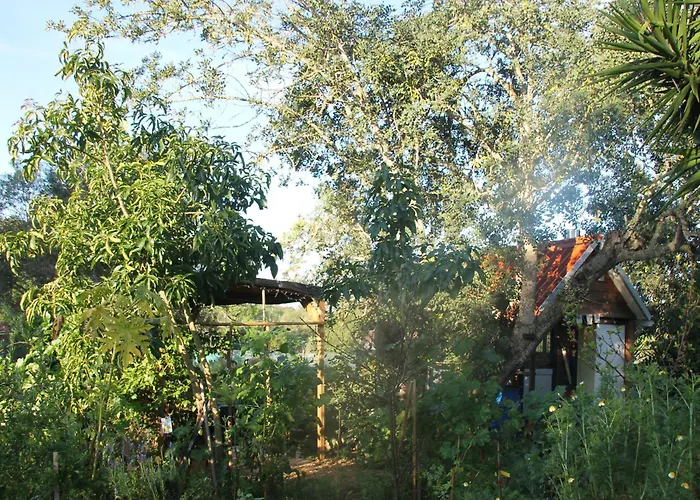 Tiny House Natura
