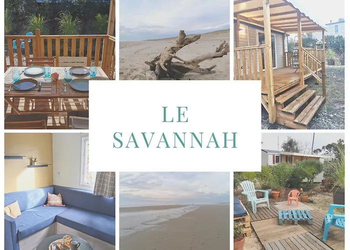 Le Savannah Au Ferret Climatise Calme Cosy Avec Vayny