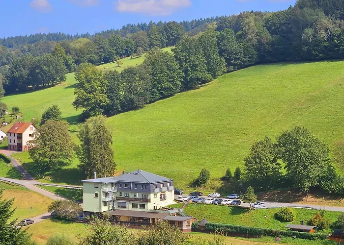 Hotel Grüner Baum mit Restaurant&Wellness