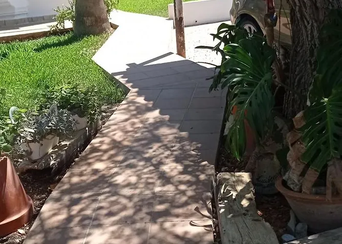 La Luciérnaga