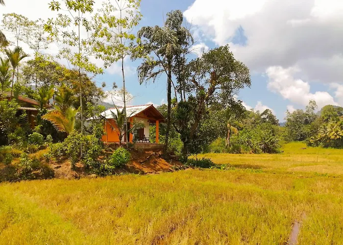 Serene Sinharaja