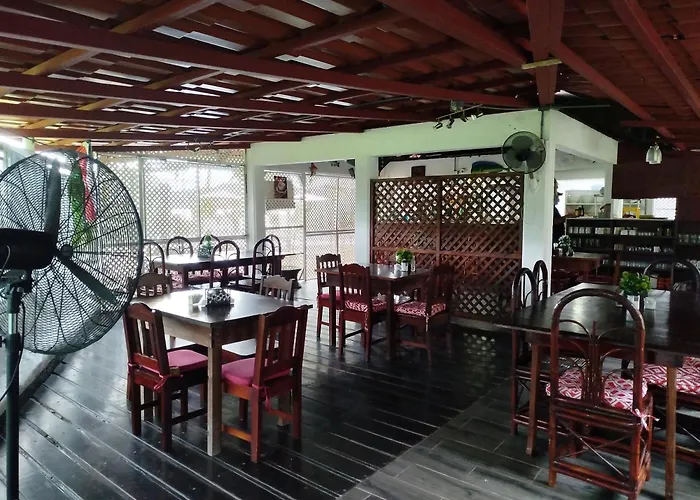 Hotel Pez Gallo