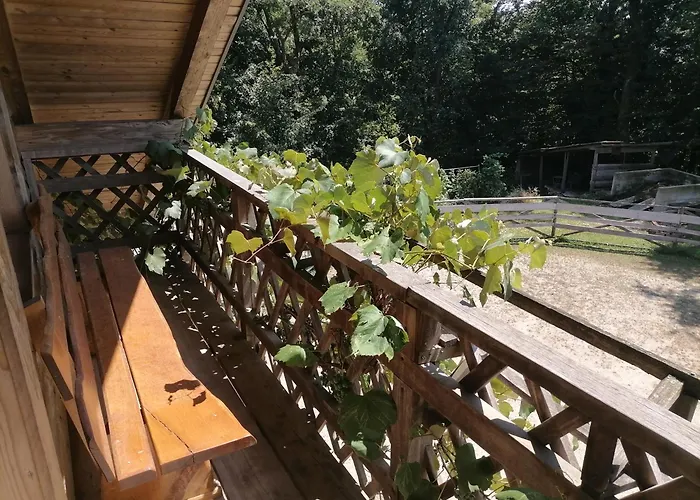Hemp Farm Paradise Near Bled And Ljubljana