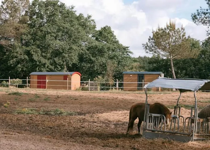 Roulottes Cocooning Au Coeur Des Landes
