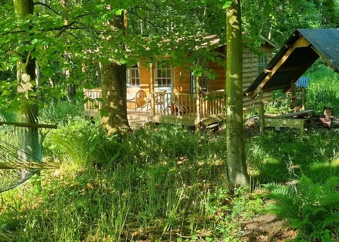 The Shack In The Woods- Off Grid