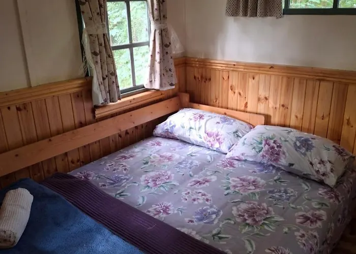 The Shack In The Woods- Off Grid