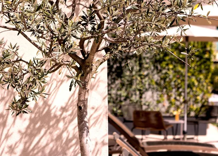 City Hotel Merano
