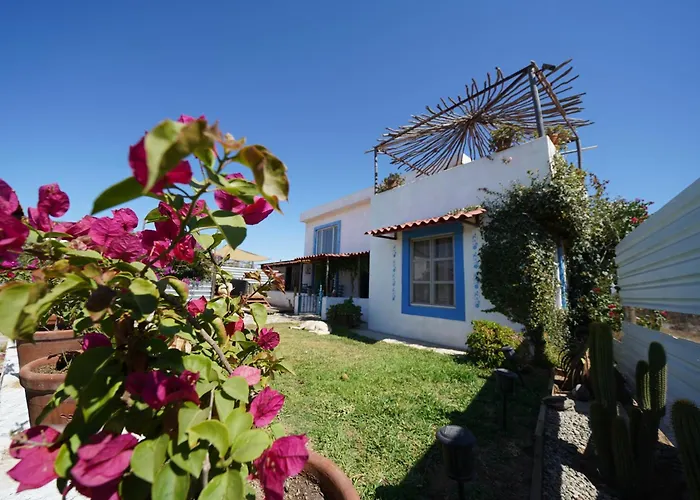 Santerra, Valle De Guadalupe