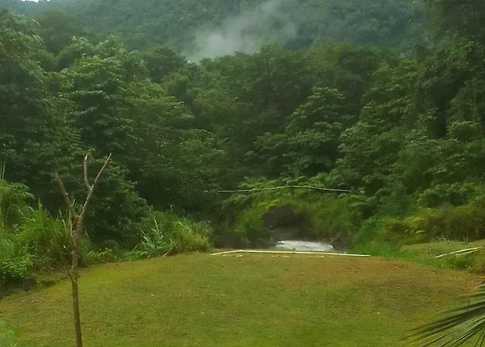 Natty Tropical Valley