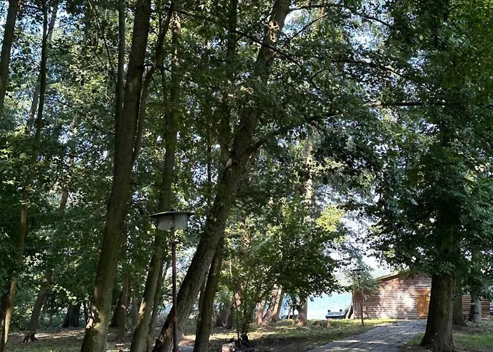Paradiesufer am See