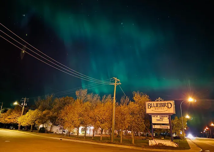 Bluebird Motel