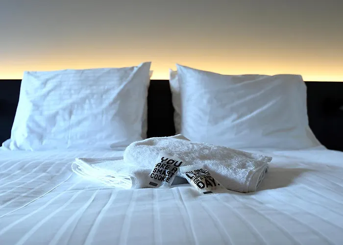 Hotel Hallensis