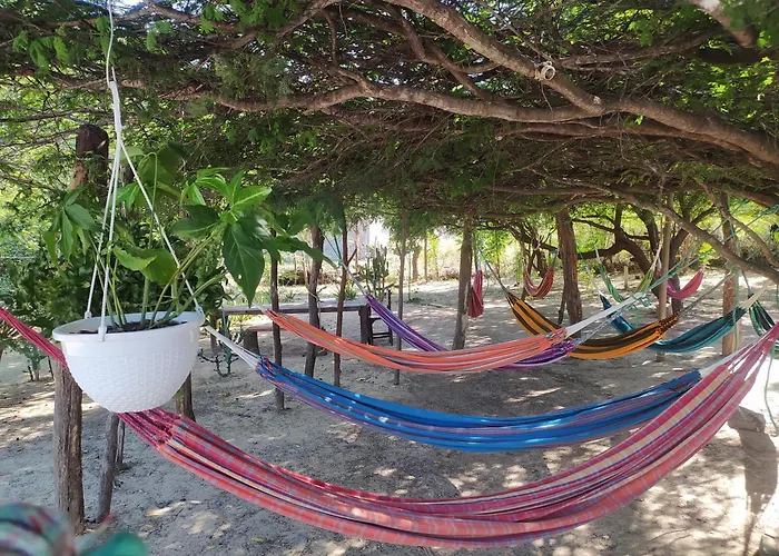 Hotel Flamencamarones