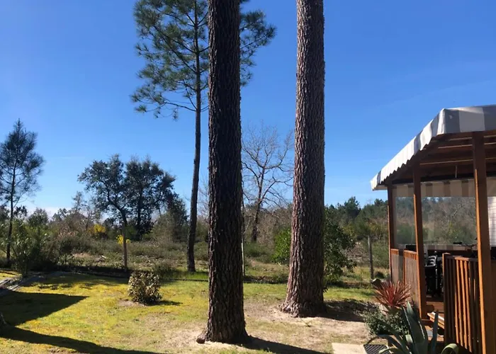 Les Dunes De Contis Chez Edith Ocean Pins Et Detente Assuree Dans Camping 4 Etoiles