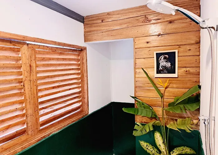 The View - Jungle Lodges - Port Barton