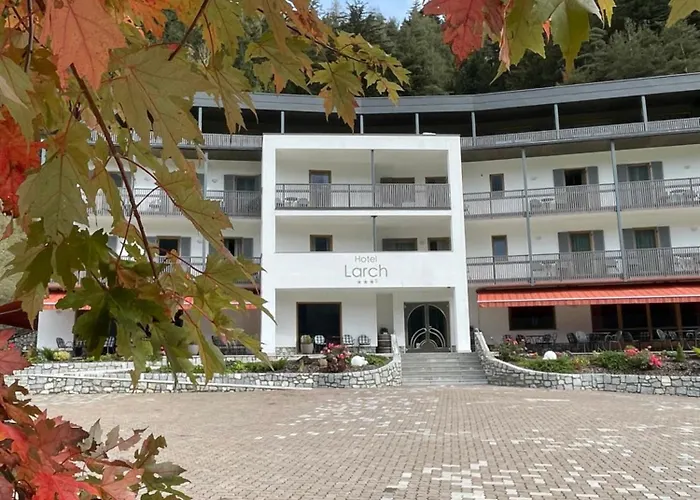 Hotel Larch