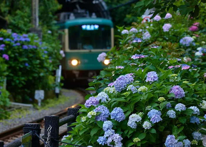 Kamakura Hotel