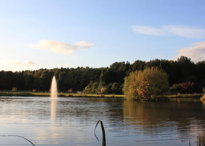 Luxury Shepherds Hut - The Foxglove By The Lake