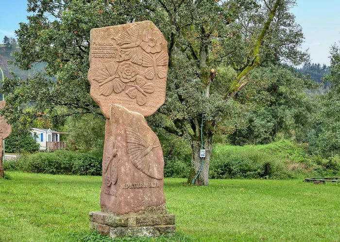 Lovely Stacaravan In Irrhausen
