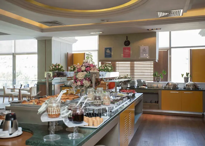 Anemon Grand Manisa Otel