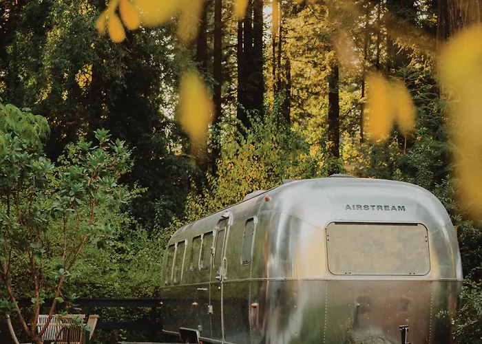 Autocamp Sonoma Hotel Guerneville