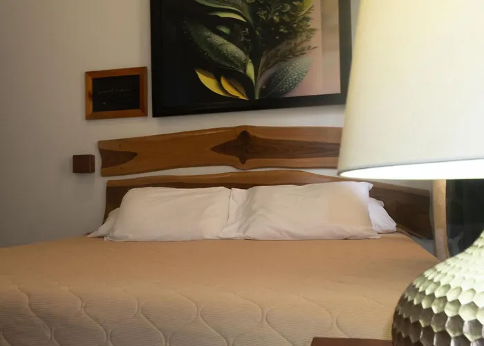 Hotel León Inn