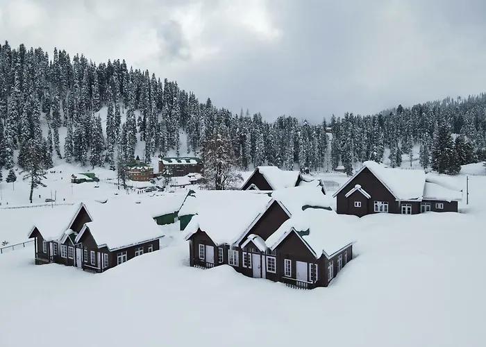 Gulmarg Woods By Stay Pattern