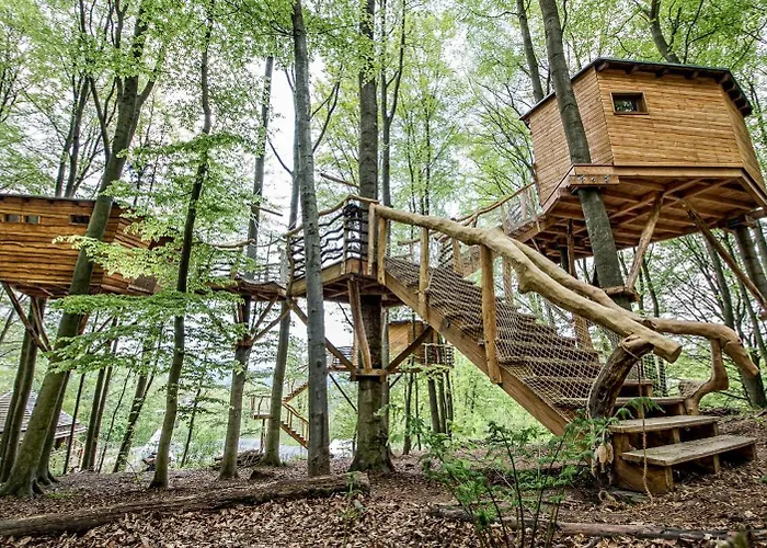 Baumhaushotel Robins Nest