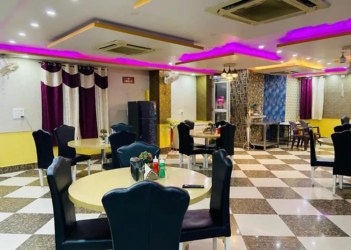 Hotel Basant Vihar International