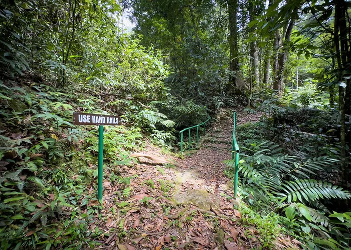 Hadco Experiences At Asa Wright Nature Centre