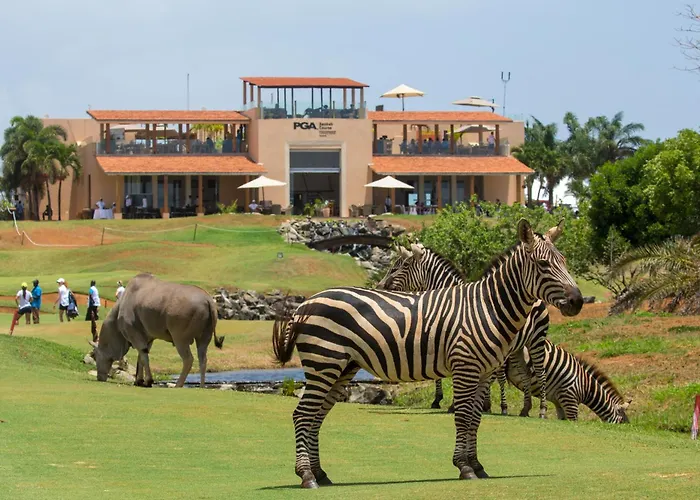 Vipingo Ridge Limited