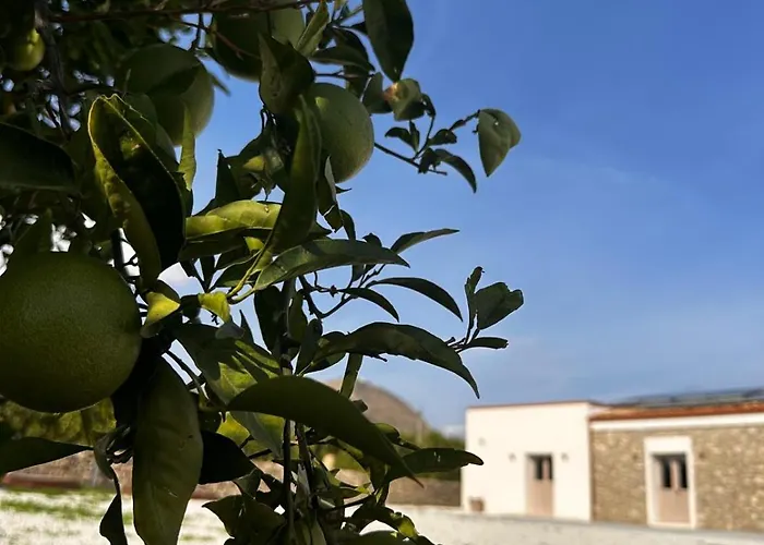 Agriturismo Del Nonno