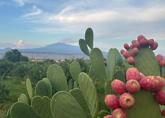 Agriturismo Del Nonno