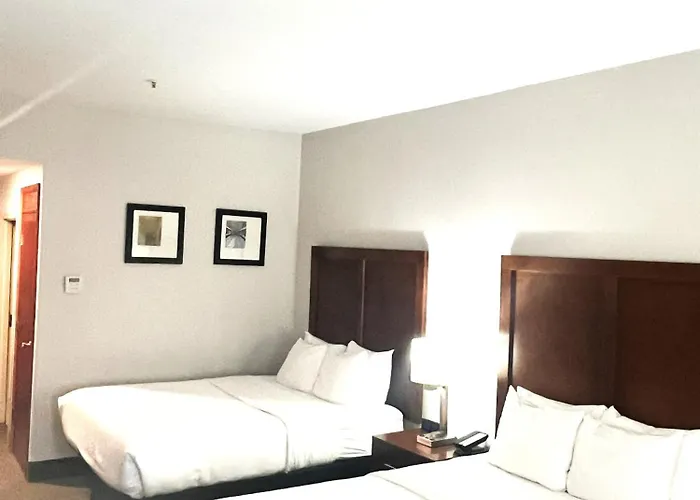 Comfort Inn & Suites Jackson North