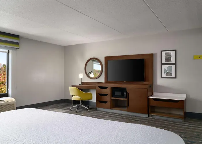 Hampton Inn Roanoke/Hollins - I-81