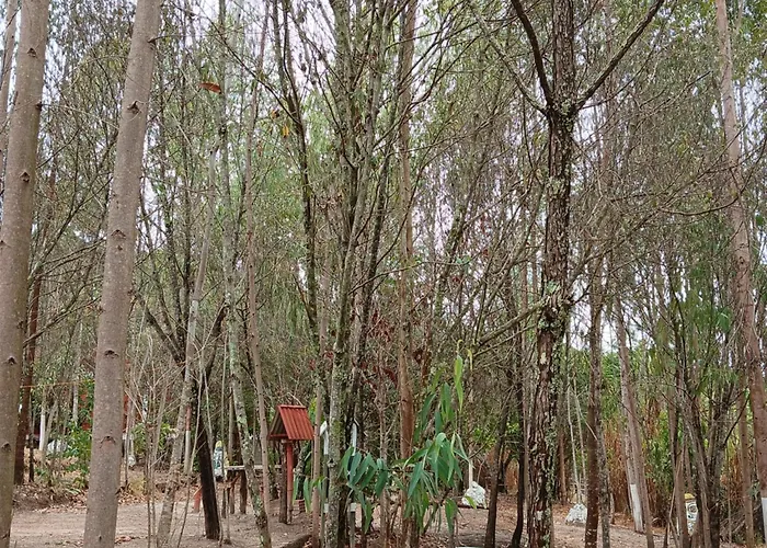 Camping Avohai