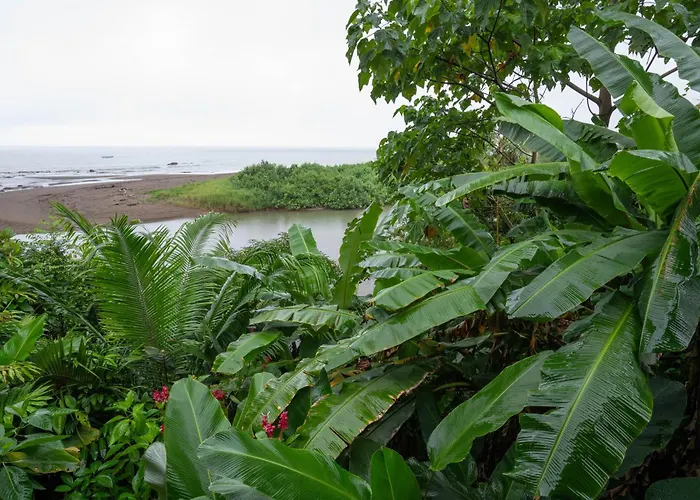 Pirate Cove