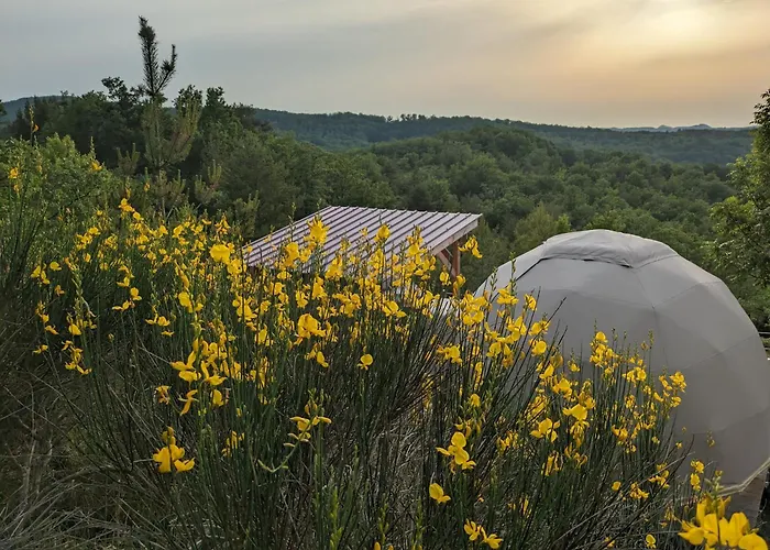 Le Dome Du Roc