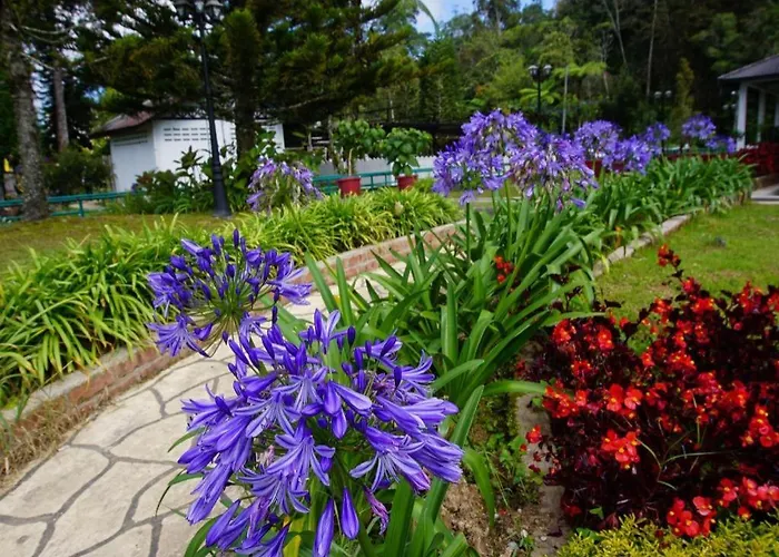 Krs Pines Hotel