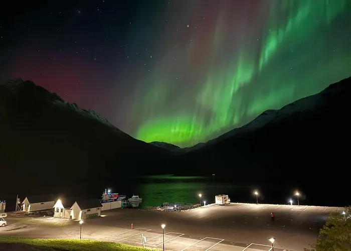Senja Fjordcamp