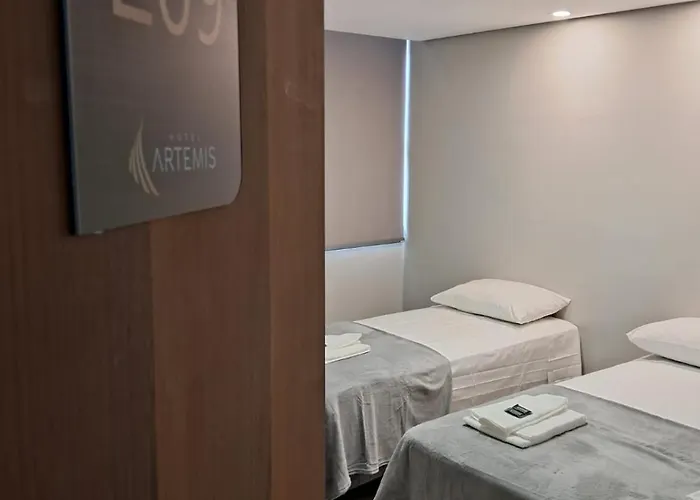 Hotel Artemis