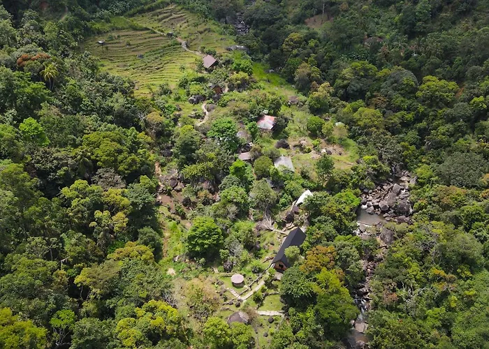 Forest Heaven Eco Resort