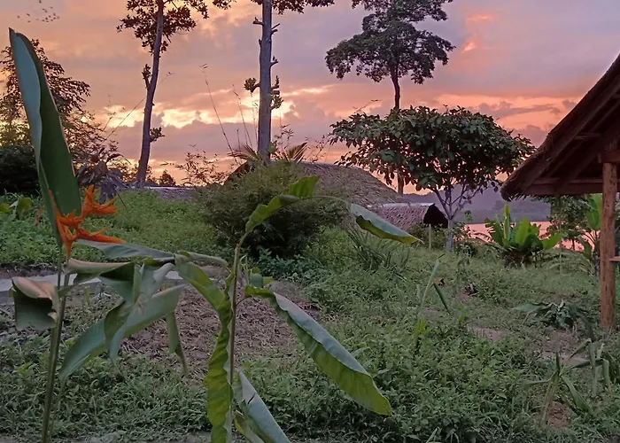 The View - Jungle Lodges - Port Barton