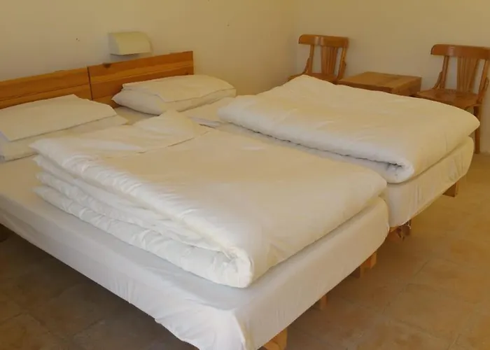 Fig Tree Hotel
