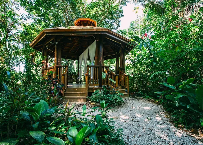 Ian Anderson Caves Branch Jungle Lodge