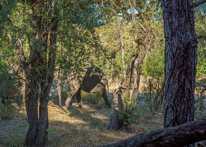 Motswari African Retreat & Walking Safaris By Newmark