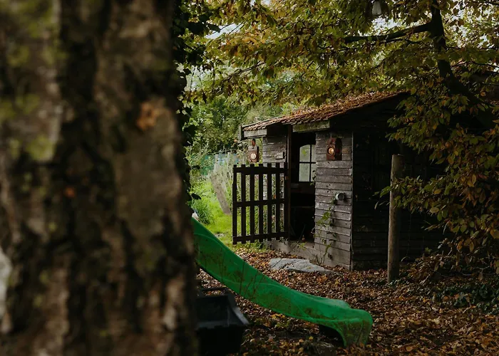 Au Pied Du Trieu, The Shelter