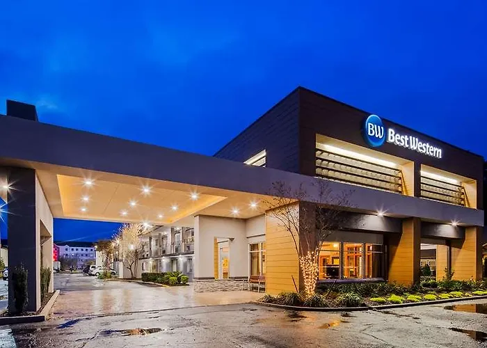 Surestay Plus By Best Western Covington