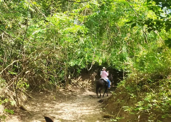 Alquiler De Caballos Y Cabalgatas Por El Atlantico